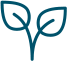 לוגו של עלים בצבע טורקיז עם רקע שקוף